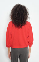 SONOMA GENSER TOMATE VINTAGE