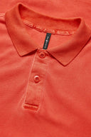 Wind pigment Polo