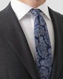 Paisley  silk tie