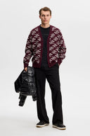 Denny jcquard cardigan